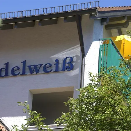 Kneipp- Und Wellvitalhotel Edelweiss Hotel